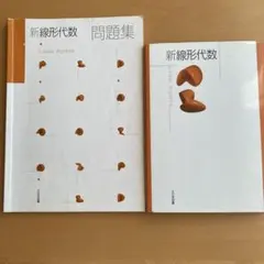 新線形代数 Linear Algebra 大日本図書 - メルカリ