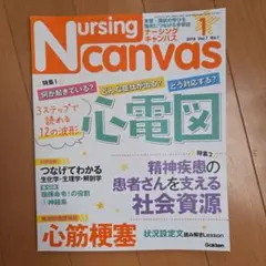 Nursing Canvas 2019年1月号