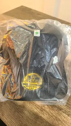 未使用ぽこあポケモン メタモン キャップ エディオン 予約 購入 特典 ぽこポケ