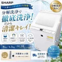 868 東芝 洗剤自動投入付き 木目調 大容量 10キロ 極美品 洗濯機