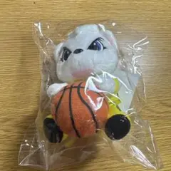 サンロッカーズ渋谷 サンディー マスコット