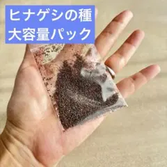 kanon17様 リクエスト 2点 まとめ商品