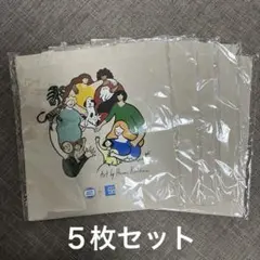 Hanna Kirishima 布製トートバッグ 5枚セット