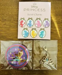 ディズニー刺繍缶バッジアラジン　シークレットチャーム　ティアラ　完売品