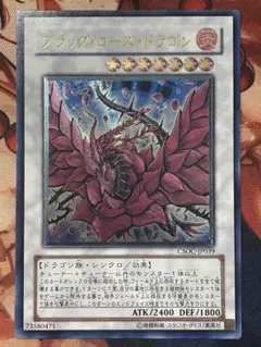 ブラックローズドラゴン 英語 EU CSOC レリーフ - メルカリ