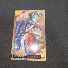 三国志大戦 晋　将器揃い　女性武将　バラ売り可能 2026年最新】カード 三国志大戦の人気アイテム - メルカリ