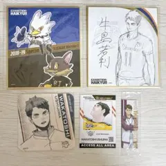 ハイキュー 牛島若利 ハイキュー展色紙 イメージカード コースター