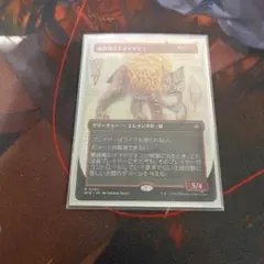 fran様 リクエスト 2点 まとめ商品