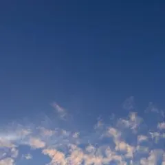 エィミー様　専用ページ