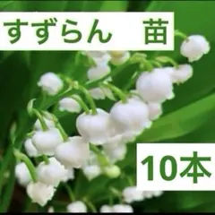 ママさん様 リクエスト 2点 まとめ商品