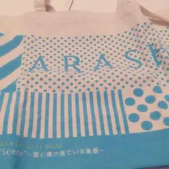 嵐 ショッピングバッグ