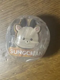 RIIZE ソンチャン めじるしアクセサリー