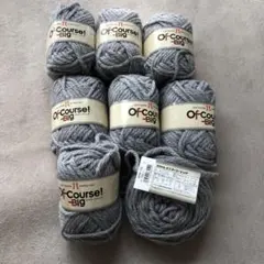 ハマナカ　オフコース！ビッグ　8玉