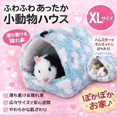 Item thumbnail for item 6423fe36-28ac-4610-b817-5bad117f77f4