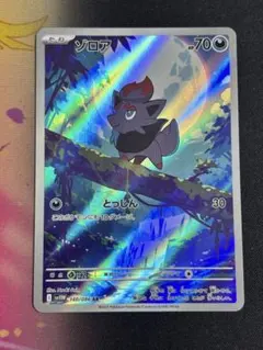 2026年最新】Pokemon Card Game カード名：ゾロア ポケモンカード