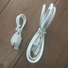 タイプc充電ケーブル ホワイト 2本セット