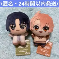 2026年最新】和泉三月 ぬいぐるみの人気アイテム - メルカリ