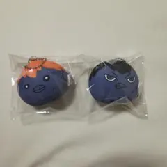 ハイキュー　動物マスコット　ミニビーズクッション　日向　影山