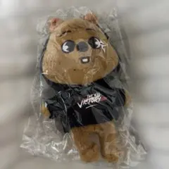 ハンクォッカ HANQUOKKA ミニぬいぐるみ skzoo スキズ