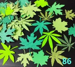 Item thumbnail for item e0ddc70e-140c-40fe-beee-0fa31bebd417