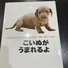 Item thumbnail for item 51836a6f-0bb4-4da8-b3e5-a5dabfd9aec8