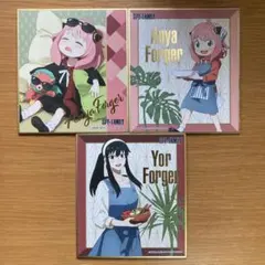 スパイファミリー　色紙3枚