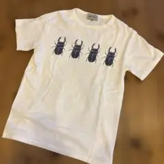 値下げ！DOMINGO Tシャツ Mサイズのサムネイル