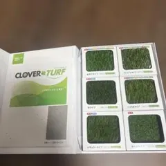 CLOVER TURF 人工芝 サンプルセット