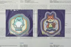 TWICE ワッペンシール ミナ サナ