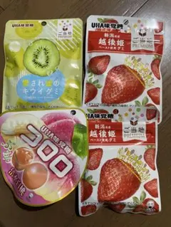 UHA味覚糖 ご当地PREMIUM グミ 3種セット　5袋
