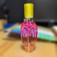 ☆希少・ほぼ未使用 廃盤 エスカーダ ロッキンリオ オードトワレ 30ml