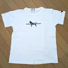 Labrador Retriever Tシャツ ホワイトのサムネイル