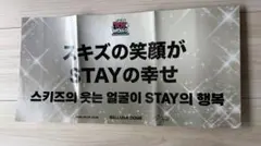 straykids スローガン2024 "SKZ TOY WORLD"