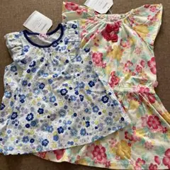 Item thumbnail for item 4d7b8ebd-6565-4d35-a9d3-5bb7000e84e0