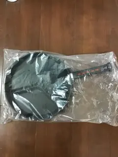 Item thumbnail for item 8b169fc0-2701-4899-aed7-c55cff0e3376