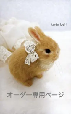 未来様　オーダー専用