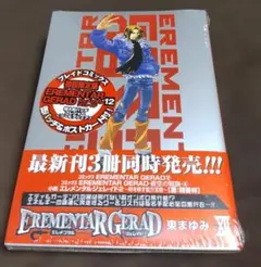 エレメンタルジェレイド 蒼空の戦旗 4巻 初回限定版 未開封 東まゆみ