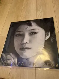 宮崎あおい2010カレンダー&ポスター 2010年宮崎あおいカレンダー | 珈琲と読書音楽バレエ