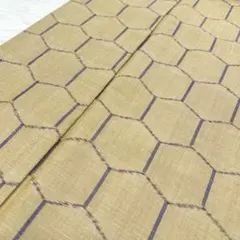 紬 亀甲模様 落ち着いた色味 着物 正絹 袷 広衿 RK-5941