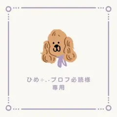 ひめ⟡.·プロフ必読様専用