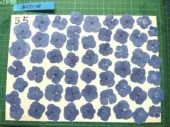 c:@断捨離中様 リクエスト 4点 まとめ商品