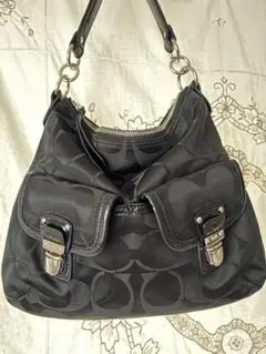 Item thumbnail for item 702c859e-5cf4-48a8-9cb0-423c9c71cf5e