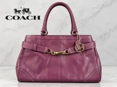 COACH コーチ ハンプトンズ キャリーオール 紫 y2K