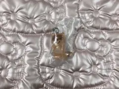 ノンタン めじるしアクセサリー2 たぬきさん