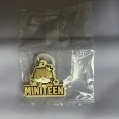 SEVENTEEN セブチ MINITEEN ミニティーン めじるしアクセサリー