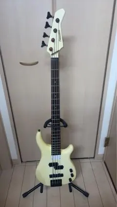 フェルナンデス FRB65？ FGIアクティブベースのサムネイル