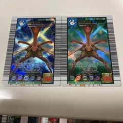 ムシキング トレーディングカード 2枚セット