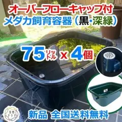 メダカ飼育ケース 60㍑トロ舟x5個 オーバーフロー付 金魚飼育容器