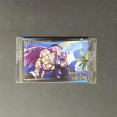 ジョジョの奇妙な冒険 ウエハース カード ナルシソ・アナスイ ウェザー・リポート