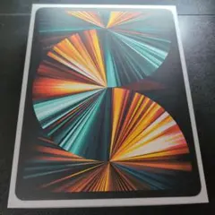 【極美品】iPad Air 13inch M3 WiFi 256GB 付属品完備